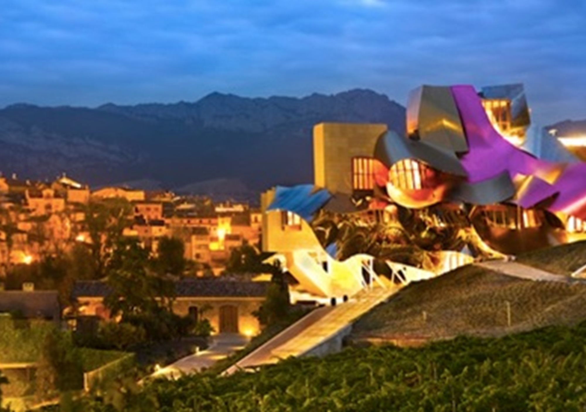 reservar online visitas guiadas a del Vino en La Rioja desde San Sebastián donostia